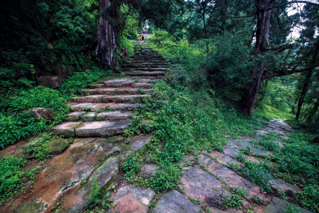 国家级名单公示！广元一地拟入选