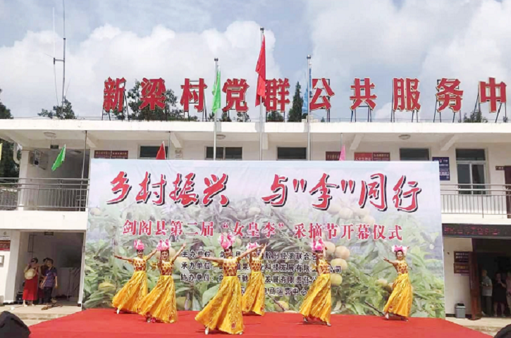 <font color='red'>剑阁县</font>第二届“女皇李”采摘节开幕