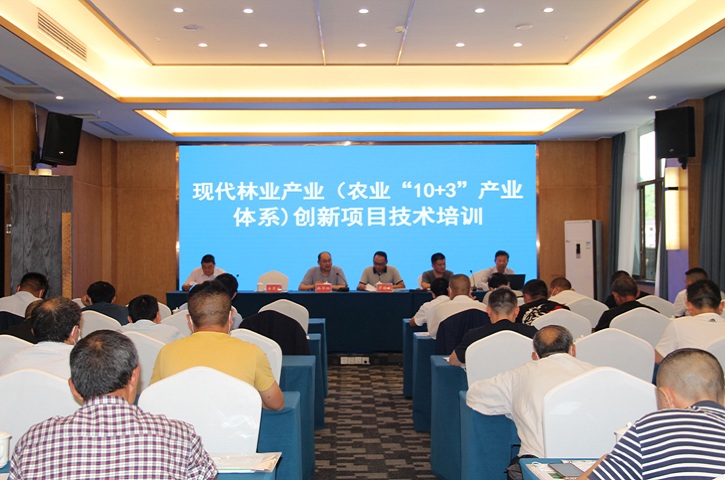 省林业和草原局科技服务团下沉<font color='red'>剑阁县</font>开展创新项目技术培训