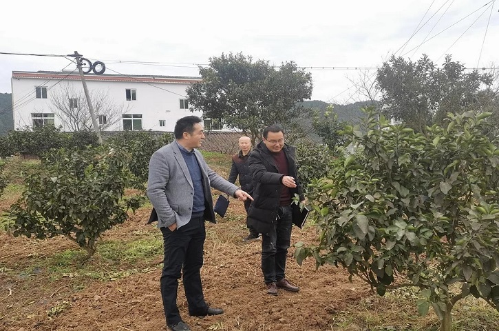 县委教育工委书记、县<font color='red'>教育局</font>党组书记李锦钟调研乡村振兴驻村帮扶工作