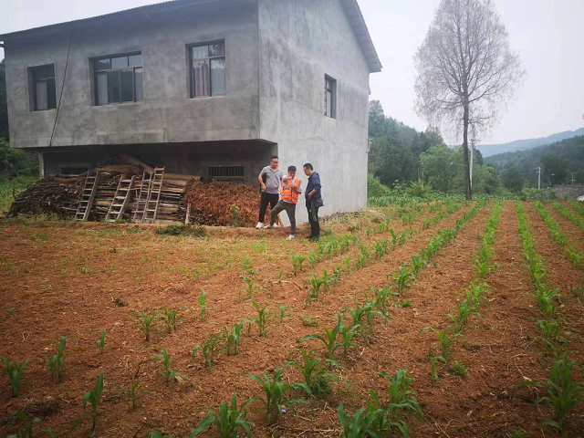 <font color='red'>剑阁县</font>自然资源局 扎实推进“承诺耕地”图斑核查工作