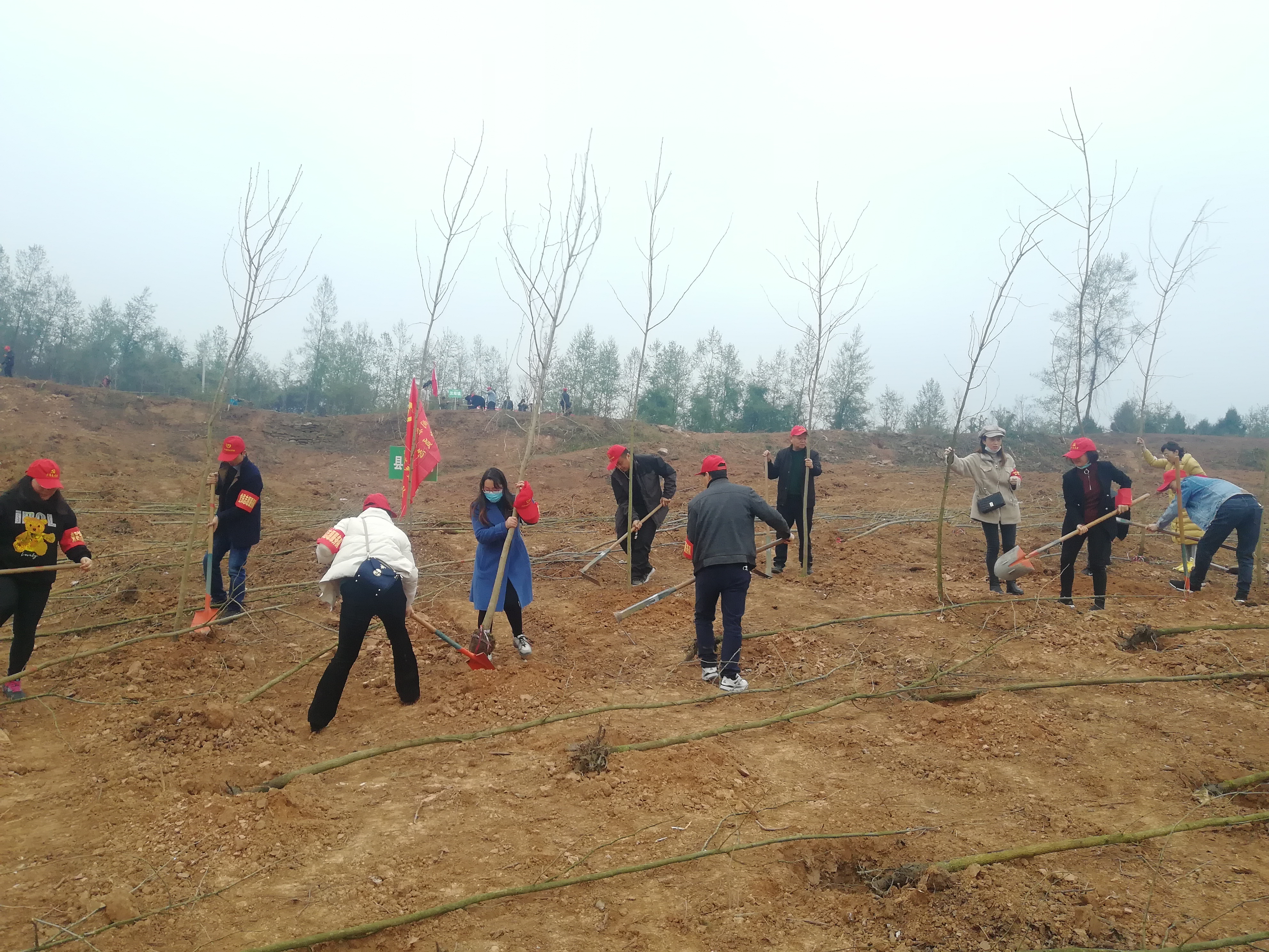 <font color='red'>剑阁县</font>住建局开展植树造林党员志愿服务活动