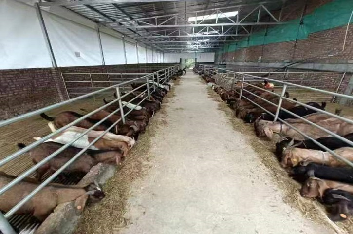 <font color='red'>剑阁县</font>水利局驻村工作队：开拓进取  助农增收