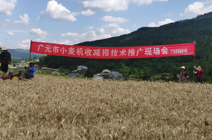 <font color='red'>剑阁县</font>：召开全市小麦机收减损技术现场推广会