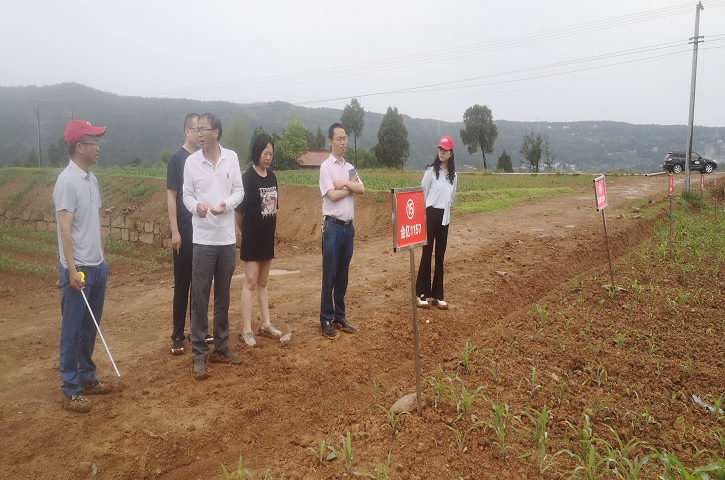 省科技下乡万里行大豆3团在<font color='red'>剑阁县</font>开展科技帮扶服务