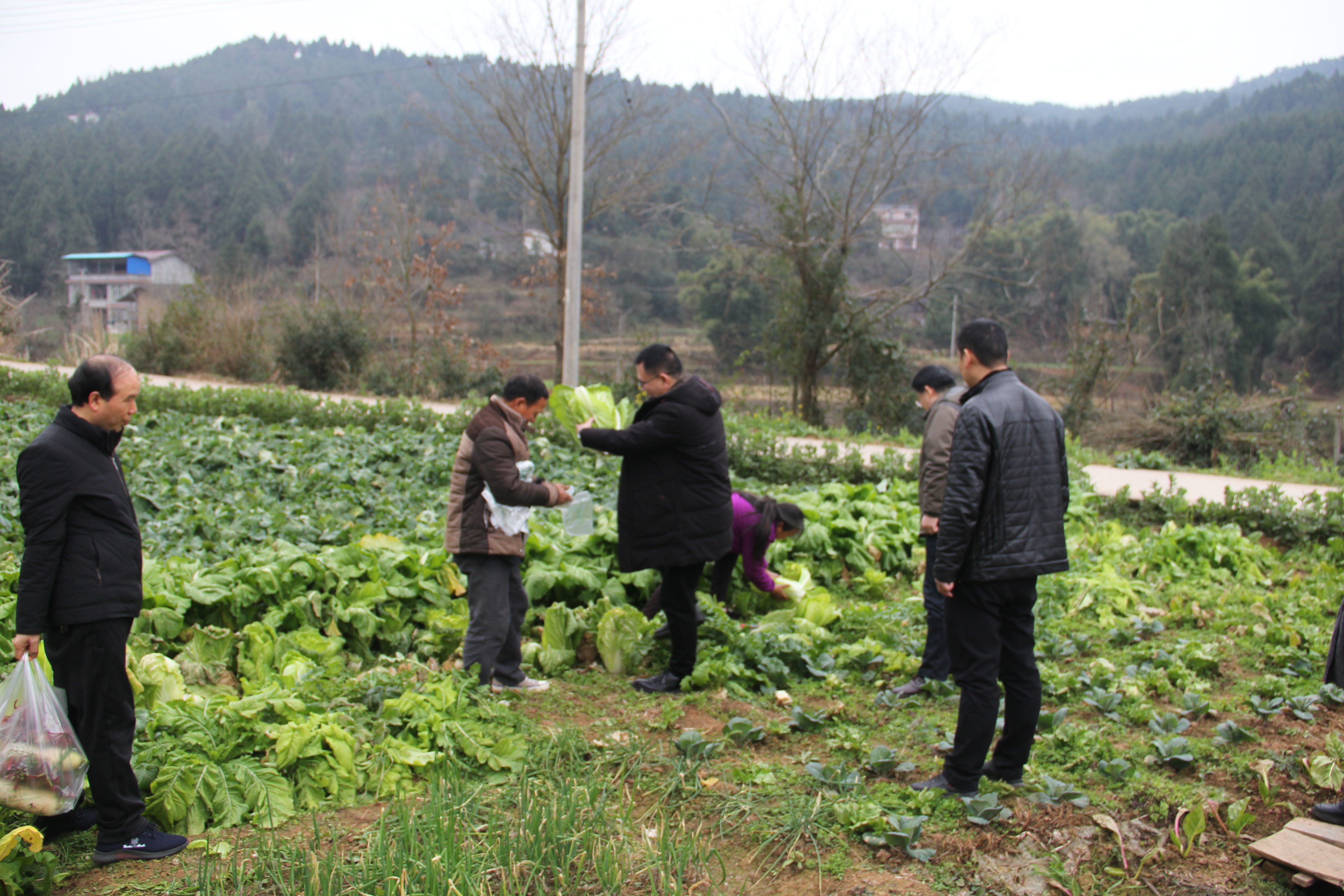 “以购代扶”帮助计生特殊家庭