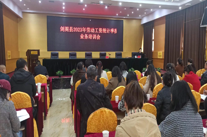 <font color='red'>剑阁县</font>统计局召开2023年劳动工资统计季报业务培训会
