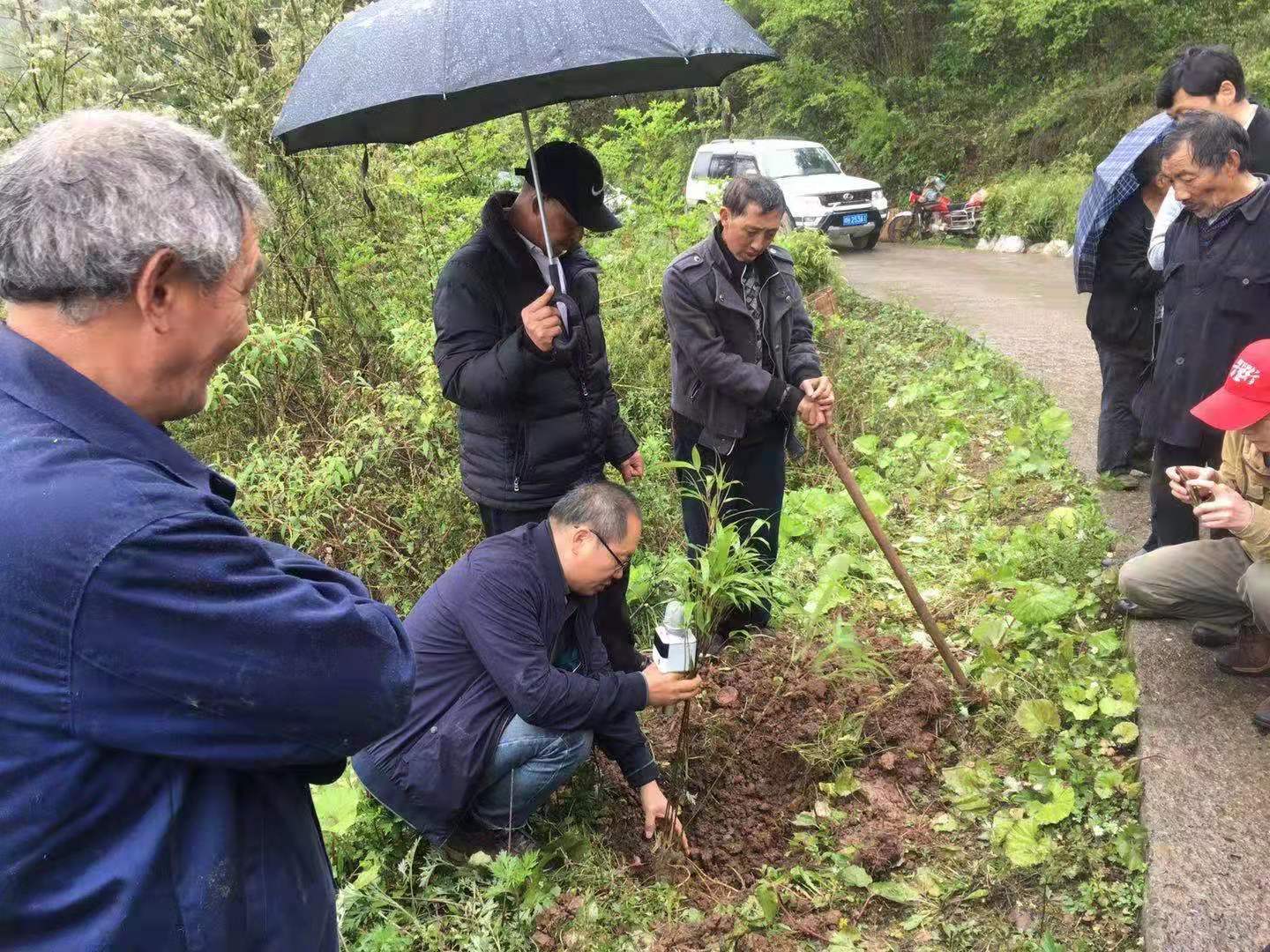 <font color='red'>剑阁县</font>林业局开展送林业技术下乡活动