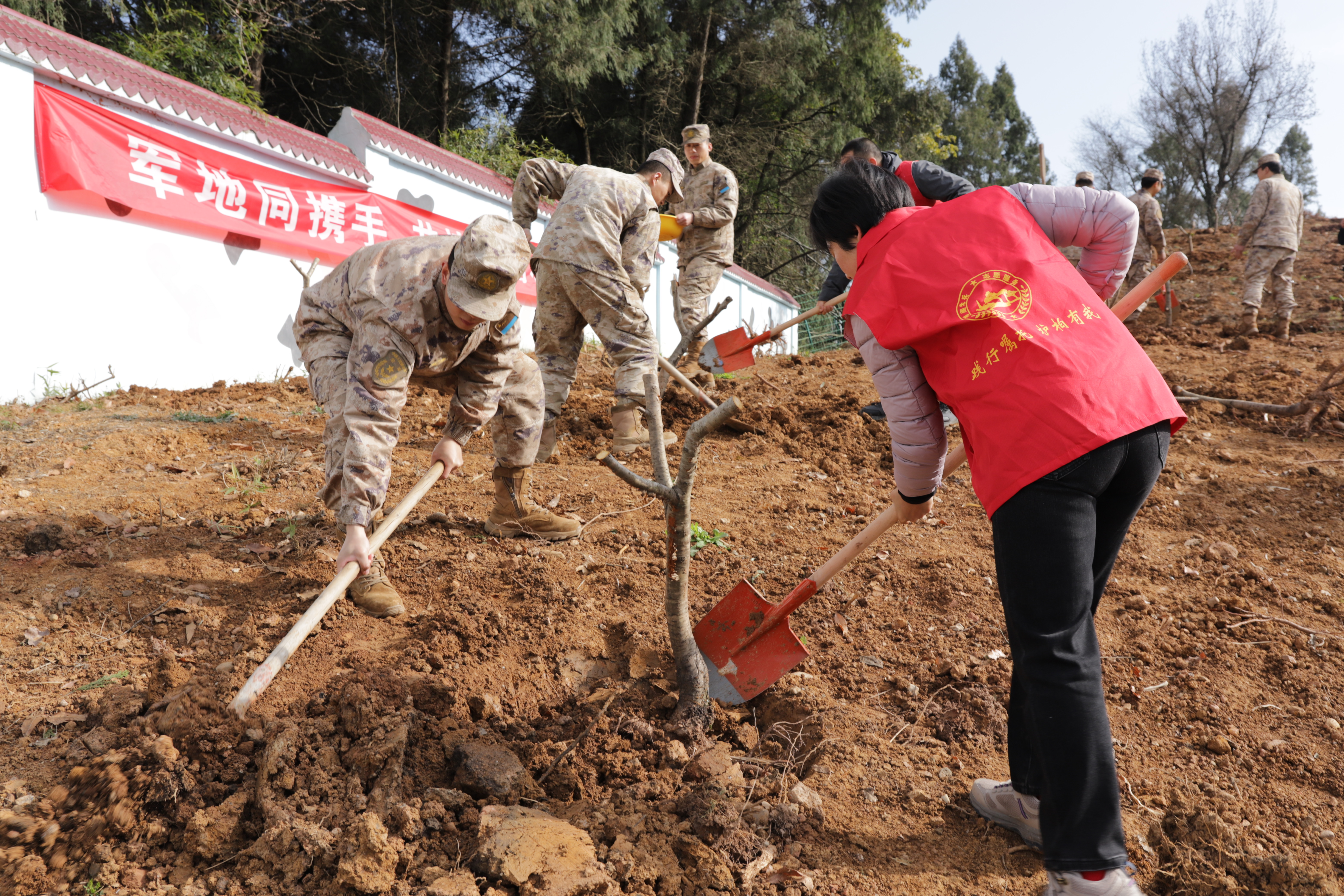 军地同携手 共植双拥林——<font color='red'>剑阁县</font>退役军人事务局组织开展义务植树活动