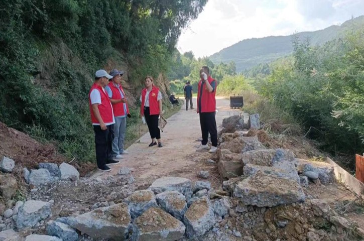 金仙镇人大代表参加志愿服务活动