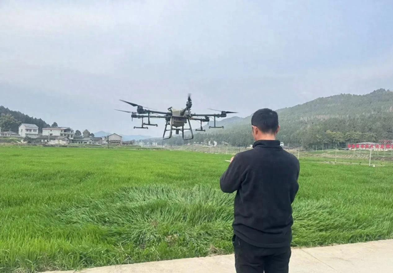 <font color='red'>公</font>兴镇：无人机“上岗”助力小麦春管