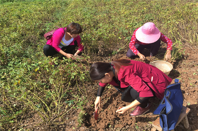 C:\Documents and Settings\Administrator\桌面\9\9.jpg