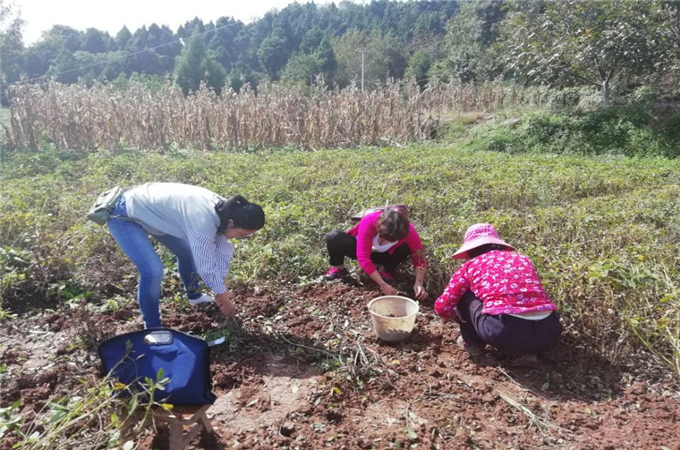 C:\Documents and Settings\Administrator\桌面\9\图片1.jpg