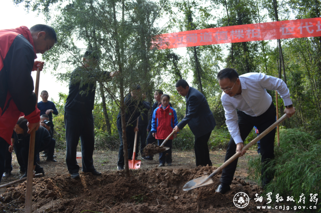<font color='red'>剑阁县</font>开展“我为蜀道植棵柏”秋季义务植树造林活动