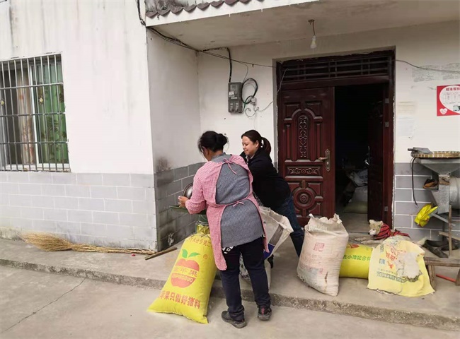 王河镇驻村帮扶力量开展三同时活动 (4).jpg