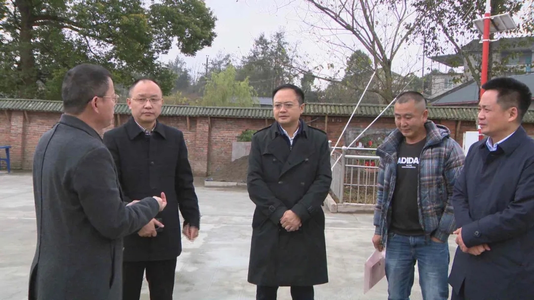 C:\Users\Administrator\Desktop\05.webp (1).jpg