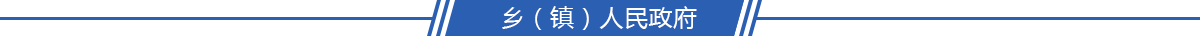 区（县）人民政府